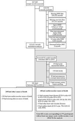 Cardiorespiratory fitness, body mass index, cardiovascular disease, and mortality in young men: A cohort study